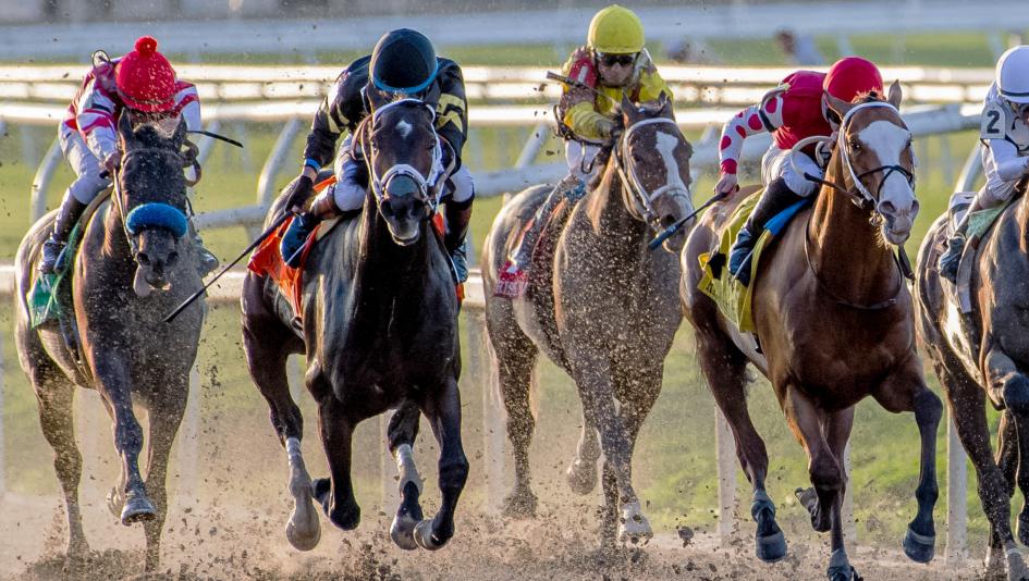 2019 Kentucky Derby